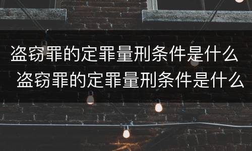 盗窃罪的定罪量刑条件是什么 盗窃罪的定罪量刑条件是什么意思