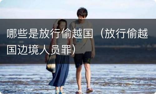 哪些是放行偷越国（放行偷越国边境人员罪）