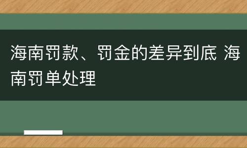 海南罚款、罚金的差异到底 海南罚单处理