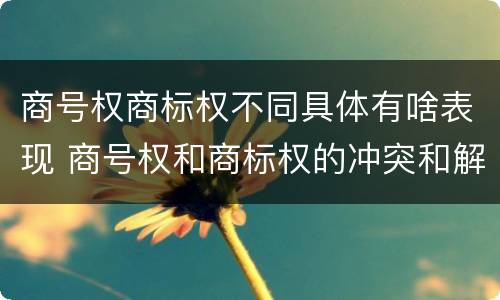 商号权商标权不同具体有啥表现 商号权和商标权的冲突和解决