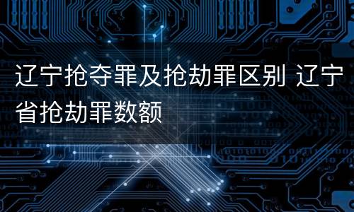 辽宁抢夺罪及抢劫罪区别 辽宁省抢劫罪数额