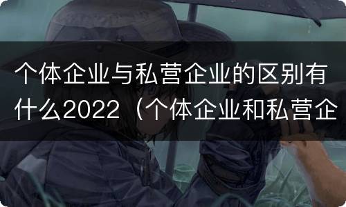 个体企业与私营企业的区别有什么2022（个体企业和私营企业）