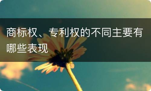 商标权、专利权的不同主要有哪些表现