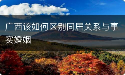 广西该如何区别同居关系与事实婚姻