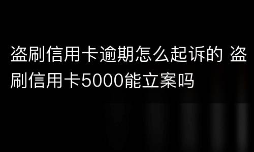 盗刷信用卡逾期怎么起诉的 盗刷信用卡5000能立案吗