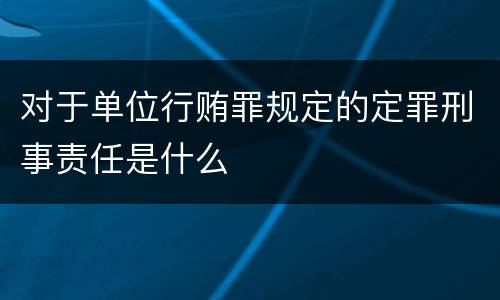 对于单位行贿罪规定的定罪刑事责任是什么