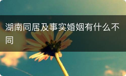 湖南同居及事实婚姻有什么不同