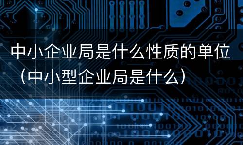 中小企业局是什么性质的单位（中小型企业局是什么）