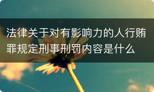 法律关于对有影响力的人行贿罪规定刑事刑罚内容是什么