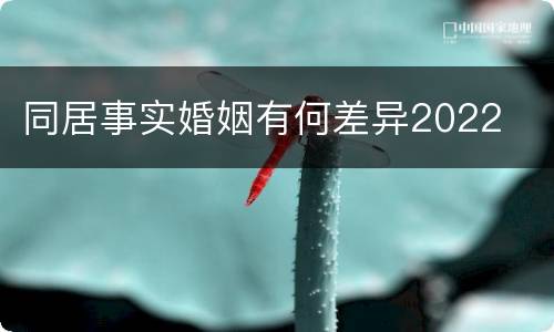 同居事实婚姻有何差异2022