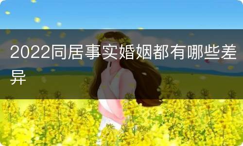 2022同居事实婚姻都有哪些差异