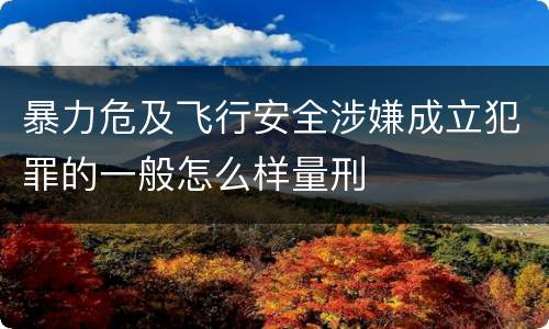 暴力危及飞行安全涉嫌成立犯罪的一般怎么样量刑