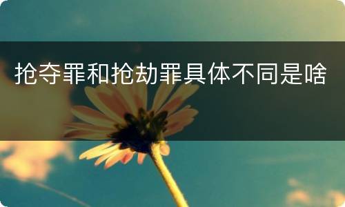 抢夺罪和抢劫罪具体不同是啥