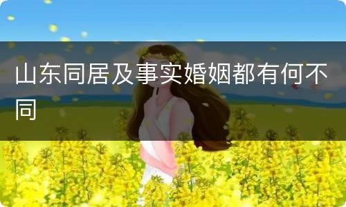 山东同居及事实婚姻都有何不同