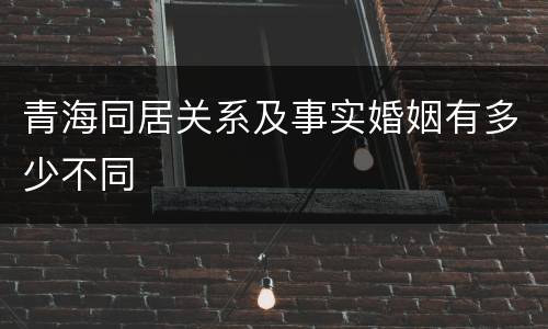 青海同居关系及事实婚姻有多少不同