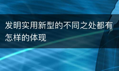 发明实用新型的不同之处都有怎样的体现