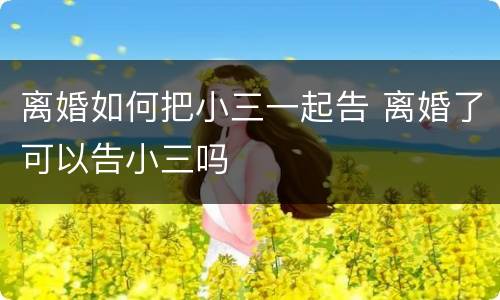 离婚如何把小三一起告 离婚了可以告小三吗