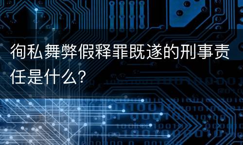 徇私舞弊假释罪既遂的刑事责任是什么？