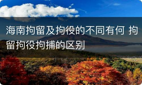海南拘留及拘役的不同有何 拘留拘役拘捕的区别
