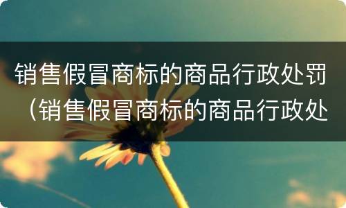 销售假冒商标的商品行政处罚（销售假冒商标的商品行政处罚决定书）