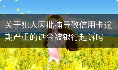 关于犯人因批捕导致信用卡逾期严重的话会被银行起诉吗
