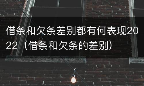 借条和欠条差别都有何表现2022（借条和欠条的差别）