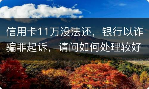 信用卡11万没法还，银行以诈骗罪起诉，请问如何处理较好