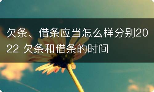欠条、借条应当怎么样分别2022 欠条和借条的时间