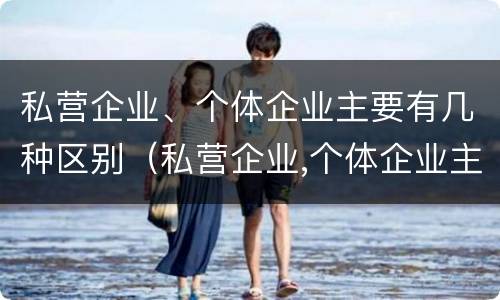 私营企业、个体企业主要有几种区别（私营企业,个体企业主要有几种区别是什么）