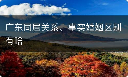 广东同居关系、事实婚姻区别有啥