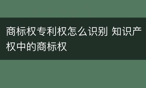 商标权专利权怎么识别 知识产权中的商标权