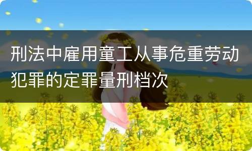刑法中雇用童工从事危重劳动犯罪的定罪量刑档次