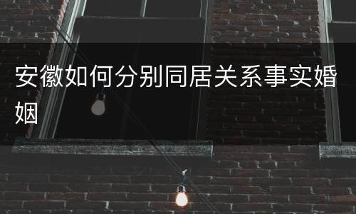 安徽如何分别同居关系事实婚姻