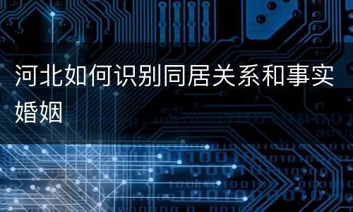 河北如何识别同居关系和事实婚姻