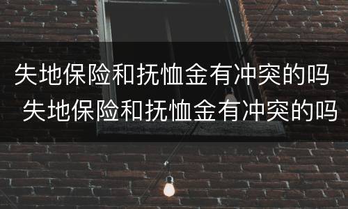 失地保险和抚恤金有冲突的吗 失地保险和抚恤金有冲突的吗