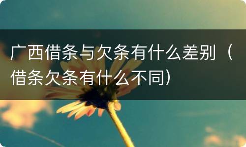 广西借条与欠条有什么差别（借条欠条有什么不同）