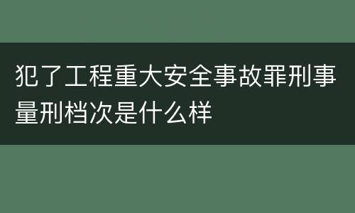 犯了工程重大安全事故罪刑事量刑档次是什么样
