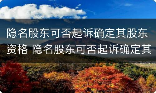 隐名股东可否起诉确定其股东资格 隐名股东可否起诉确定其股东资格呢