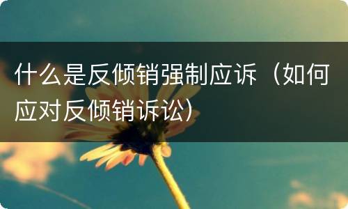 什么是反倾销强制应诉（如何应对反倾销诉讼）