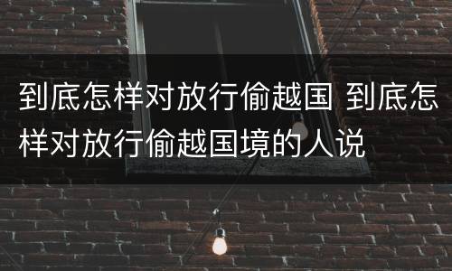 到底怎样对放行偷越国 到底怎样对放行偷越国境的人说