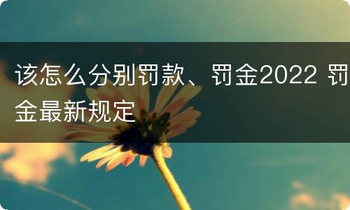 该怎么分别罚款、罚金2022 罚金最新规定