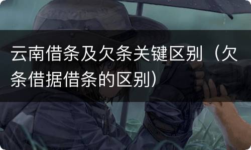云南借条及欠条关键区别（欠条借据借条的区别）