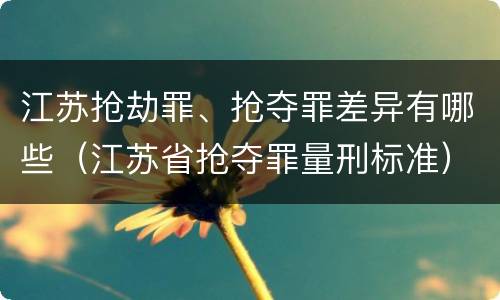 江苏抢劫罪、抢夺罪差异有哪些（江苏省抢夺罪量刑标准）