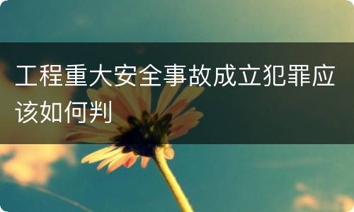 工程重大安全事故成立犯罪应该如何判