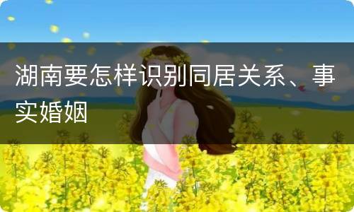 湖南要怎样识别同居关系、事实婚姻