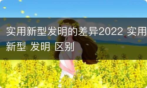 实用新型发明的差异2022 实用新型 发明 区别