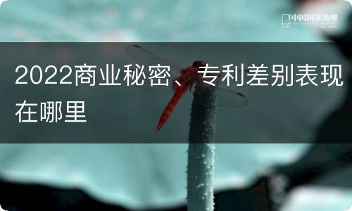 2022商业秘密、专利差别表现在哪里