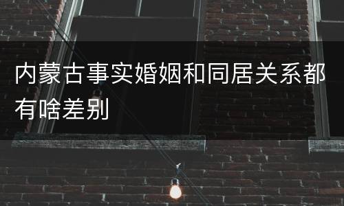 内蒙古事实婚姻和同居关系都有啥差别