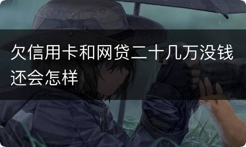 欠信用卡和网贷二十几万没钱还会怎样