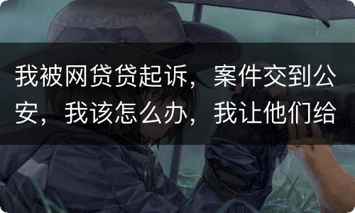 我被网贷贷起诉，案件交到公安，我该怎么办，我让他们给我的亲人道歉